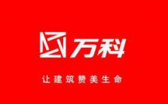 万科企业股份有限公司发布董事会决定聘任祝九胜为公司总裁首席执行官