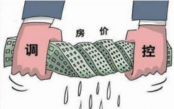 天津市人民政府对房地产市场进行调控