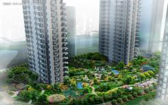全球知名房地产服务商第一太平戴维斯最新发布“上海市场回顾报告”