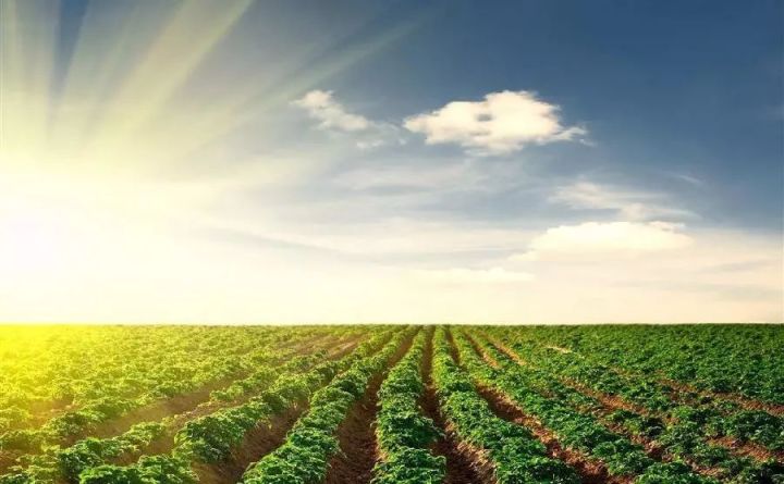 休闲农业与地产业相结合形成休闲农业地产的趋势愈加明显