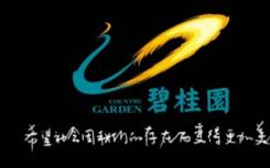 碧桂园集团2017年上市范围内总收入为2269亿元人民币