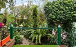 布莱克本北部花园绿洲55年来首次提供