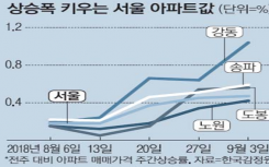 韩国政府机动轰炸式对策也 再次上升的最大涨幅