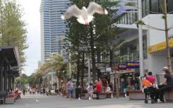 在升迁者采取行动时北岸物业在市场上花费的时间更少