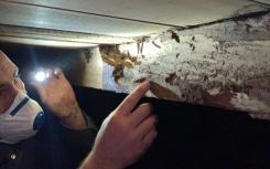 检查员报告墨尔本的受白蚁所困的房产飙升