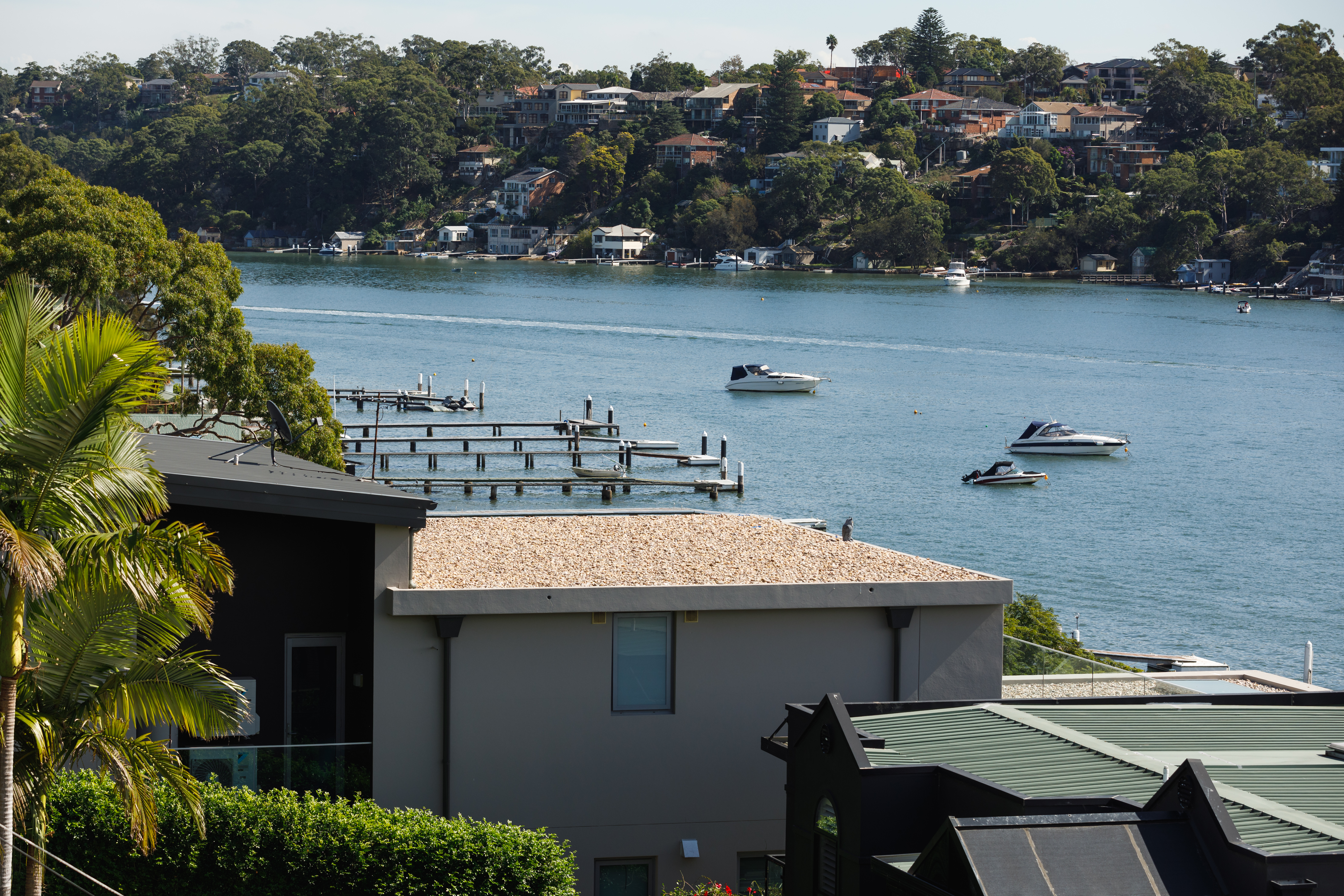 悉尼郊区的牡蛎湾 提供乡村生活的味道