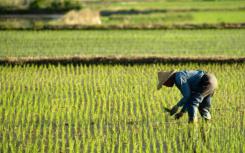 农村土地价值将会翻倍 土地确权四大好处