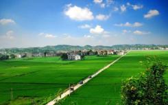 房地产建筑商表示 绿色家园将成为主流