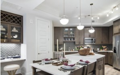 StreetLights住宅开设355个单元的亚特兰大社区