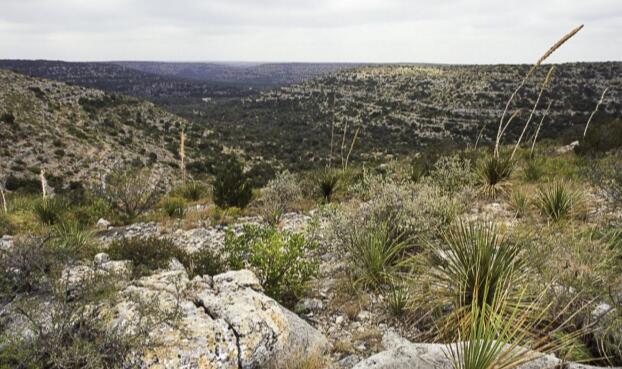 西得克萨斯州占地40000英亩的牧场即将出售