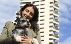悉尼公寓楼禁止业主将宠物带离建筑物 这将对居民产生深远的影响