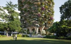 拥有1,003棵树木和2万株植物的塔楼有望打破纪录
