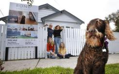 一只拉布拉多犬成为家庭房屋销售活动的明星 引起了人们的广泛关注