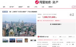第三度挂牌的上海明天广场以19.907亿元成功拍出