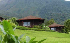 哥斯达黎加房地产投资与旅游业的结合