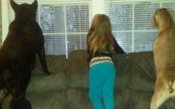 出租房屋的新巨人是单户出租