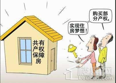 共有产权住房