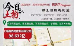 徐汇区一幅巨无霸商住办地块成交 成交价98.632亿