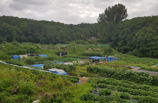 韩国在说明会上也将积极推进宅地开发