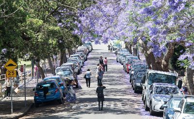 这是悉尼最受欢迎的街道吗