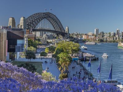 为什么精明的悉尼投资者将在假期继续购买