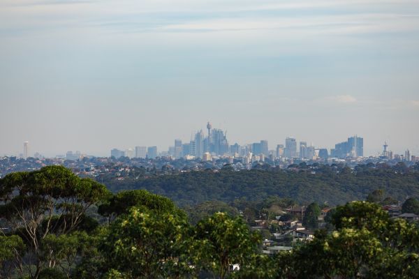 专家选择了悉尼被忽视和不受重视的郊区