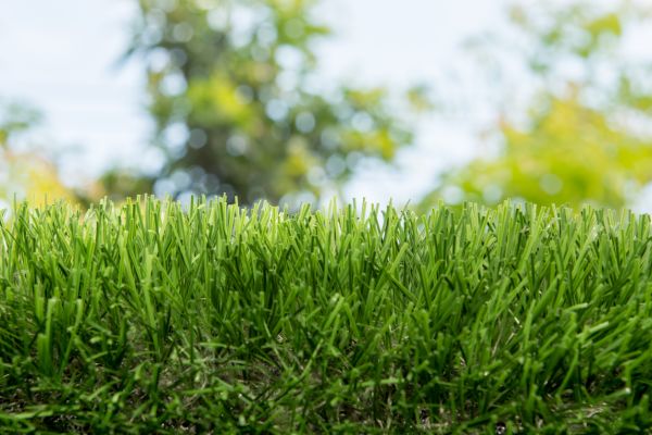 马里昂市否决了在公园使用人造草皮的提议