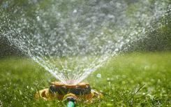 你什么时候给你的草坪浇水