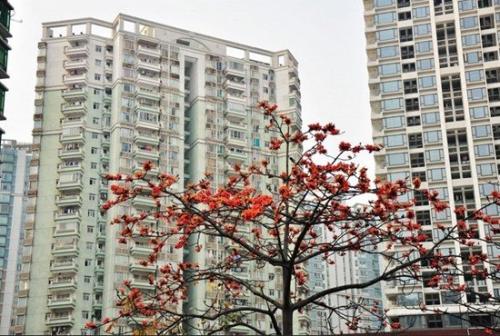 NAR的Yun预测未来十年的住房市场