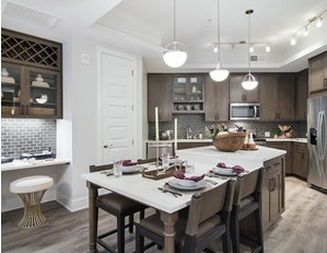 StreetLights住宅开设355个单元的亚特兰大社区