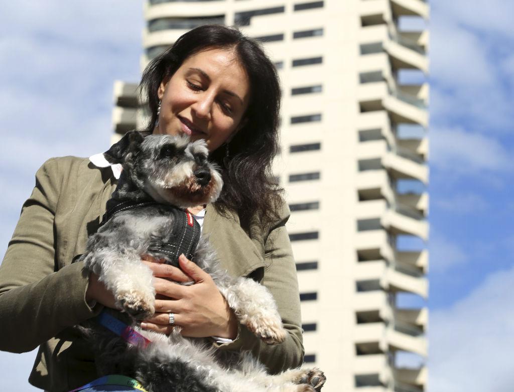 悉尼公寓楼禁止业主将宠物带离建筑物 这将对居民产生深远的影响