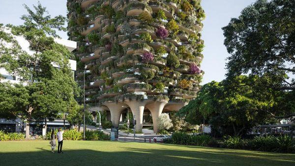 拥有1,003棵树木和2万株植物的塔楼有望打破纪录