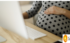 历史上低出生率对住房的影响