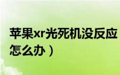 苹果xr光死机没反应（苹果xr死机屏幕无反应怎么办）