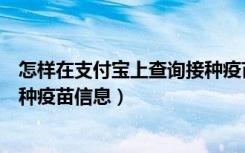 怎样在支付宝上查询接种疫苗信息（怎样在支付宝上查询接种疫苗信息）