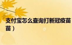 支付宝怎么查询打新冠疫苗（支付宝在哪里查询已打新冠疫苗）