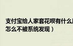 支付宝给人家套花呗有什么风险吗（支付宝花呗帮别人套现怎么不被系统发现）