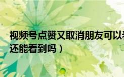 视频号点赞又取消朋友可以看到吗（视频号点赞取消了别人还能看到吗）