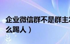 企业微信群不是群主怎么踢人（企业微信群怎么踢人）