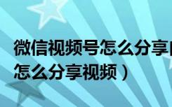 微信视频号怎么分享自己的视频（微信视频号怎么分享视频）