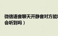 微信语音聊天开静音对方能听到吗（微信语音聊天静音对方会听到吗）