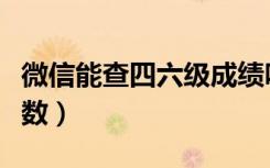 微信能查四六级成绩吗（微信怎么查四六级分数）