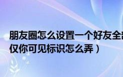 朋友圈怎么设置一个好友全部可见（朋友圈该好友已只设置仅你可见标识怎么弄）