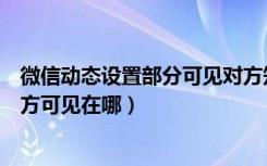 微信动态设置部分可见对方知道吗（微信视频动态留言仅对方可见在哪）