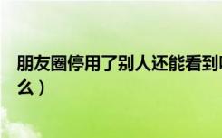 朋友圈停用了别人还能看到吗（停用朋友圈别人看到的是什么）