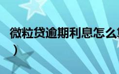 微粒贷逾期利息怎么算（微粒贷利息怎么算的）