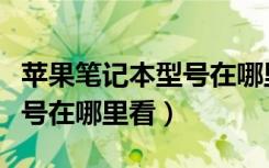 苹果笔记本型号在哪里看图片（苹果笔记本型号在哪里看）