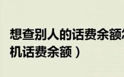 想查别人的话费余额怎么查（怎么查询别人手机话费余额）