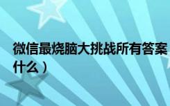 微信最烧脑大挑战所有答案（微信最烧脑大挑战所有答案是什么）