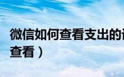 微信如何查看支出的记录（微信支出记录怎么查看）
